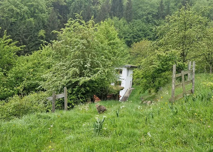 Lejlighed Gsangerer Marktl